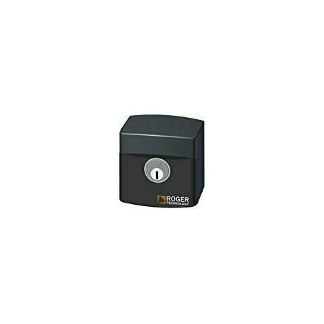 SELETTORE A CHIAVE DA ESTERNO IN PLASTICA CON CILINDRO STANDARD ROGER R85/60ES