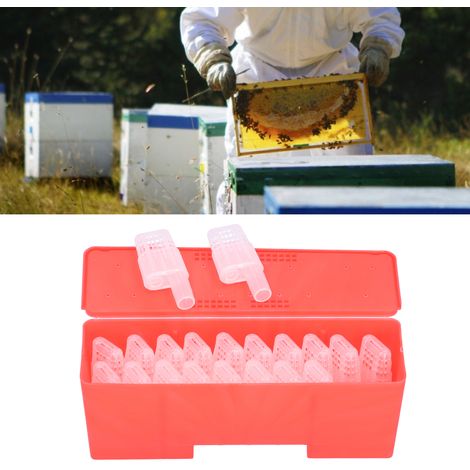 20 Pièces Cage de Transport pour Abeilles Reine, Attrape-Reine en Plastique, Équipement Apicole (1/5)