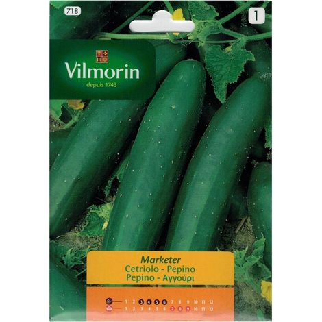 Vilmorin 5G Gurkensamen