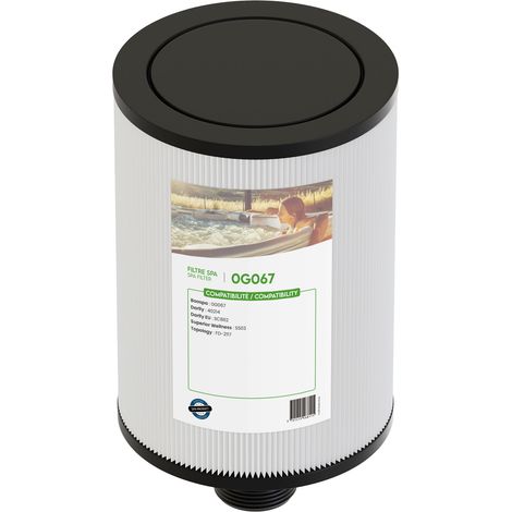 Filtre spa SC862 / 40214 / FD-2117/ SS03 - Classique