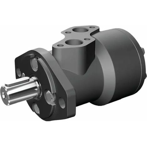 MOTORE ORBITALE DANFOSS XLH 50 (1/5)