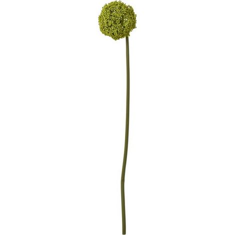 Allium (Single Stem Flower) - Plastic - Height 75 cm - Green