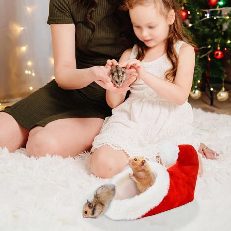 Lits pour hamsters sur le thème de Noël, chaussures de Père Noël pour animaux, cachettes, grottes de Noël, abris douillets, accessoires de cage, adaptés aux hamsters, écureuils, hérissons, phalangers  (1/5)