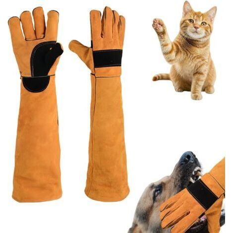 FENOPLASTICAGants en cuir renforcé anti-griffures - conviennent aux chiens, chats, reptiles, etc. - 1 paire, orange, 60 cm (1/4)