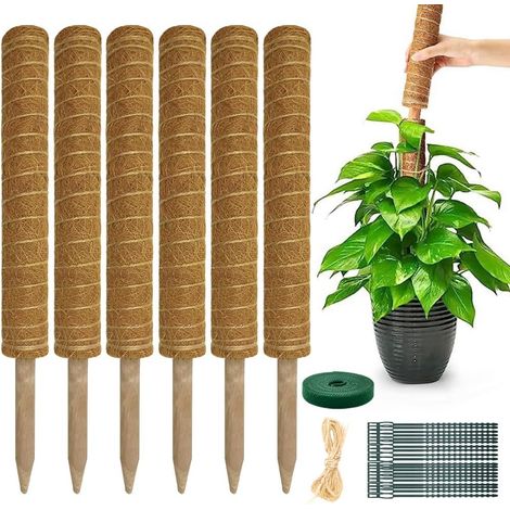 Tuteur Plante - 6 Pièces - Fibre De Coco Et PVC - Extensible 42cm À 193cm - Pour Monstera Et Plantes Grimpantes - Marron (1/5)