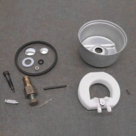 Kit de Réparation Carburateur Flotteur et Cuve Compatible Tecumseh 632347 631700 632019A (1/4)