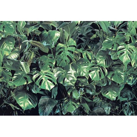 Komar Verdure 368 x 254 cm, Papier peint panoramique 8-333, photomurale sur intissé (1/3)