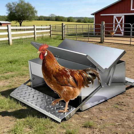 Mangeoire Automatique pour Poulets, Mangeoire Poule Automatique à Double Face à Pédale, Mangeoire pour volailles, pour Extérieure, Poulailler, Ferme, Cour (1/5)