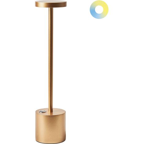 Lampe à Poser Moderne en Fet et Aluminium pour Intérieur et Extérieur Doré Lizandro (1/5)