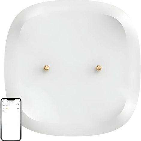 SONOFF SNZB-05P Detecteur de Fuite d'eau Intelligent ZigBee, Capteurs d'eau et Alarmes sans Fil pour Cuisine, Salle De Bain, sous-Sol, Étanchéité IP67, ZigBee Bridge Requis, Piles Incluses