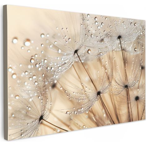 TABLEAU SUR TOILE Pissenlit - Abstrait - Nature - Beige Toile Peinture Grand Format XXL 150x100 cm