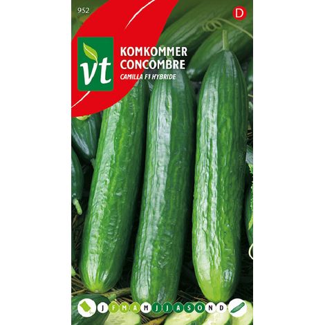 Concombre Louisa F1 Hybrid - Ca. 5 graines (Livraison Gratuite) (1/2)
