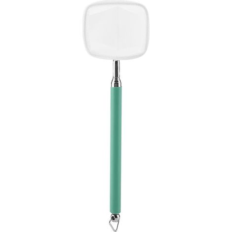 Épuisette extensible pour poissons et crevettes, adaptée aux aquariums, bassins et étangs (carré vert). (1/3)