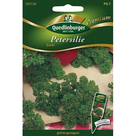 Quedlinburger Saatgut – Persil frisé « Darki » – Graines d'herbes aromatiques, feuilles vert foncé finement frisées, bisannuel