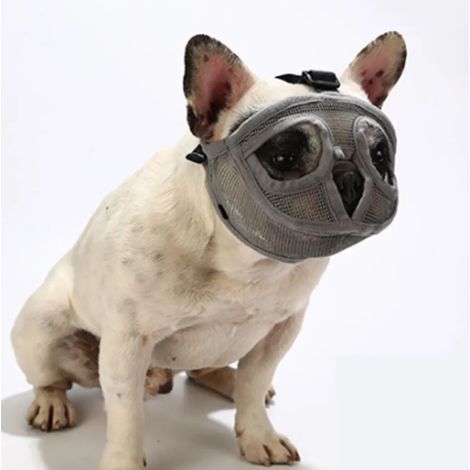 Filiyano-Muselière courte en maille pour chien bouledogue, réglable, grise, taille L, anti-morsure et d'aboiement, idéale pour les morsures et les (1/5)