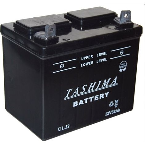 Batterie Plomb Tashima Pour Tondeuse Autoportée 12v, 32a. L: 196, L: 131, H:184mm, + à Gauche. (livrée Sans Acide). - Batterie à