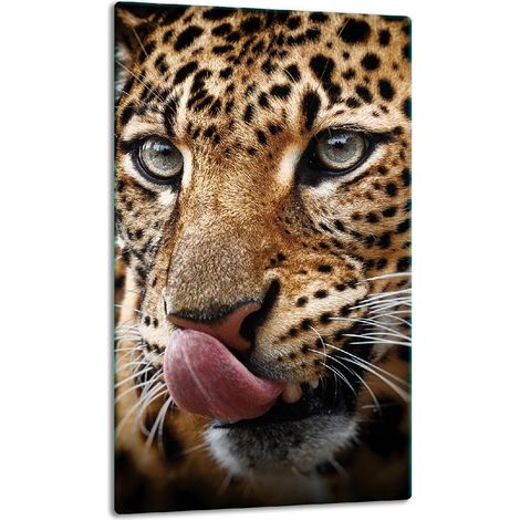 TABLERO DE MESA DE PANEL DE PLACA DE CRISTAL 30x52 TIGER (1/5)