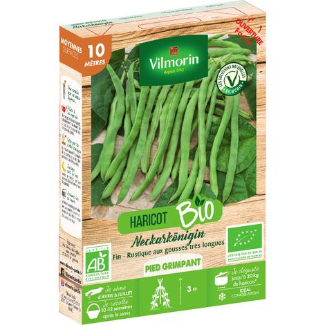 Haricot Grimpant Vert Neckarkönigin - 10 m - BIO Vilmorin