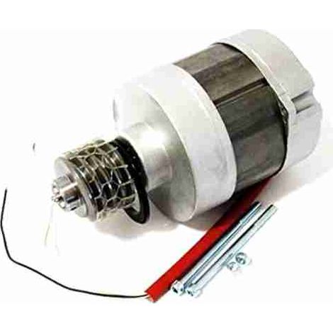 Gruppo Motore Elettrico Statore Rotore 230v BX 74 400KG BX-A CAME 119RIBX016 Ricambio
