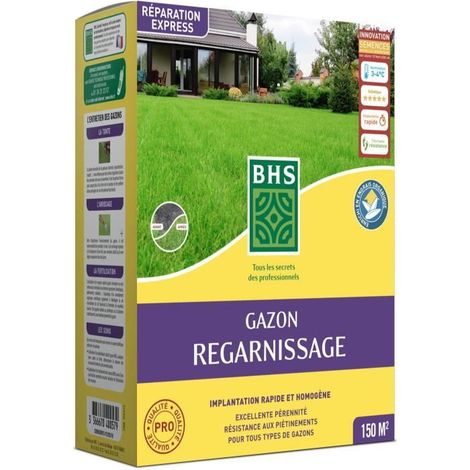 BHS Nachsaat Rasen 3kg grüne Rasensamen