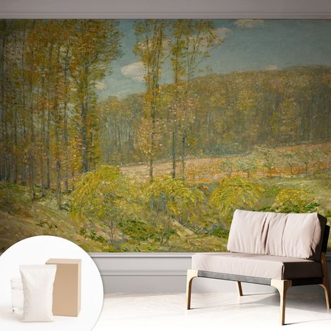 Fototapete Tapete Vliestapete mit Kleber Büro Wandgestaltung - Wanddekoration Wohnzimmer Waldlandschaft 312x219 cm (1/5)