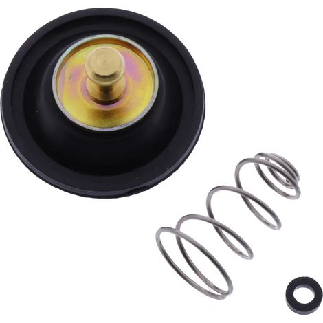 Tourmax Luftabsperrventil-Reparatursatz (ACV-101)