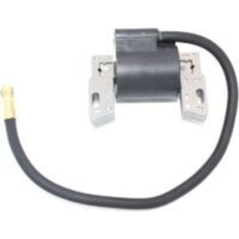 Magnetzündspulenanker für Briggs & Stratton 591420 793281 793352 792594 395489 398593 4 (1/4)