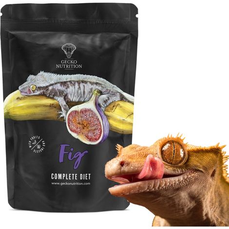Gecko Nutrition Banana Fig - alimento para geckos: Gecko crestado, Felsuma 50g (1/4)