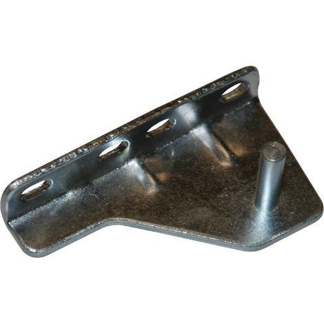 Charnière de Porte Inférieure Droite - Polar