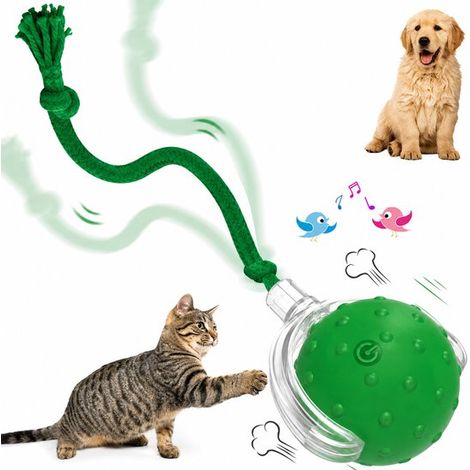 ZVD Jouets interactifs pour animaux de compagnie - Jouet pour chat - Avec sons d'oiseaux et ficelle - Balle interactive pour chats et chiens (1/5)