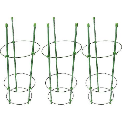 3 cages de support pour plantes grimpantes (1/3)