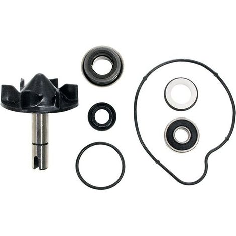 Kit Pompe à Eau Tmax 530 2012-2016