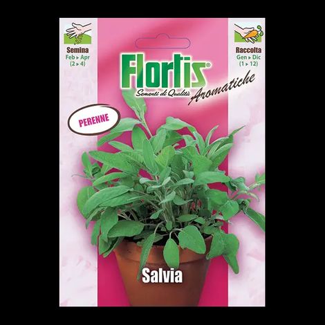 TUTTOGIARDINO SALVIA (1/2)