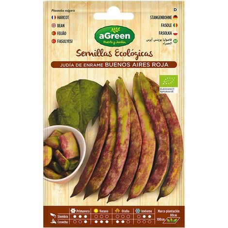 Eco-Samenbeutel Bohnen Buenos Aires Red Agreen