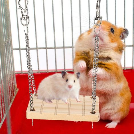 1 Balançoire, Bois Naturel, Acier Inoxydable, Antidérapant, Hamster, Gerbille, Cochon d'Inde (1/5)
