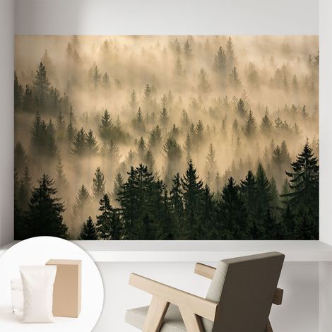 Papier peint intissé à motifs décoratifs pour salon chambre et bureau Décoration murale élégante avec colle Brume forestière 104x70 cm (1/5)