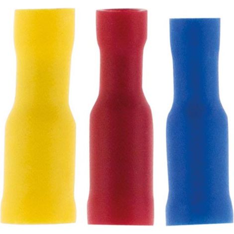 10 cosses femelles rondes - Zenitech
