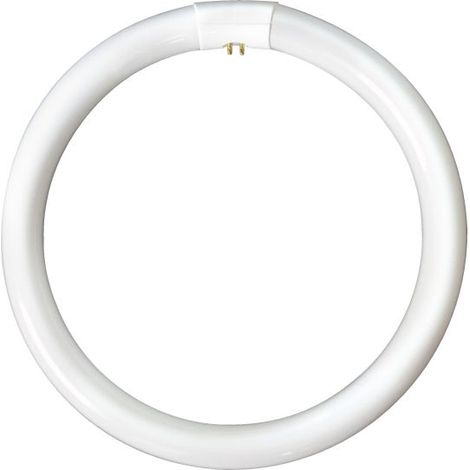Bell Lighting LP9660 Circular Triphosphor Tube 32w 12 Inch White