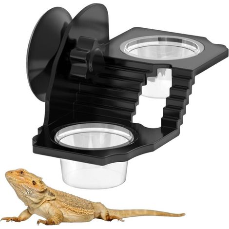 Mangeoire pour Reptiles, Gamelle pour Dragon Barbu, Support de Gamelle avec Ventouse Terrarium Capacité Design Pratique et Compact pour Petits Animaux Terrarium et Reptiles (1/5)