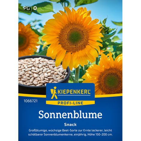 Kiepenkerl Profi-Line Blumensamen Sonnenblumen Snack für ca. 20 Pflanzen