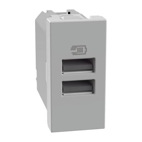 Caricatore Usb Due Porte Tipo A 1M Grigio Matixgo (Bticino Cod. Jg4191Aa)