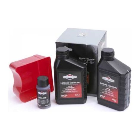 Kit entretien origine pour moteur Briggs et Stratton (1/3)