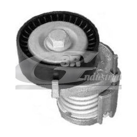 3RG 13713 RODILLO TENSOR