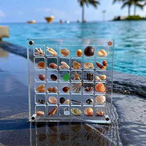 Boîte de présentation magnétique en acrylique pour coquillages, boîte de rangement décorative pour coquillages et étoiles de mer, petit contenant de rangement pour loisirs créatifs.