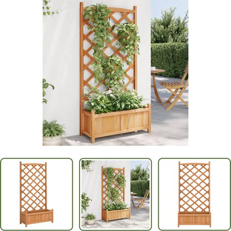 Jardinière en bois - Jardinière avec treillis marron bois massif de sapin (1/5)