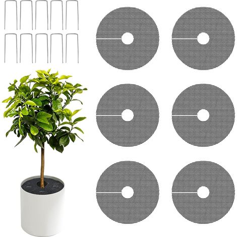 6Pièces 30CM Grille de Protection pour Pot de Fleurs avec 10 Clous de Fixation Grille Protection Plante Découpable Protector Contre pour Pots de Fleurs Protéger les Plantes des Chats et Chiens (1/5)