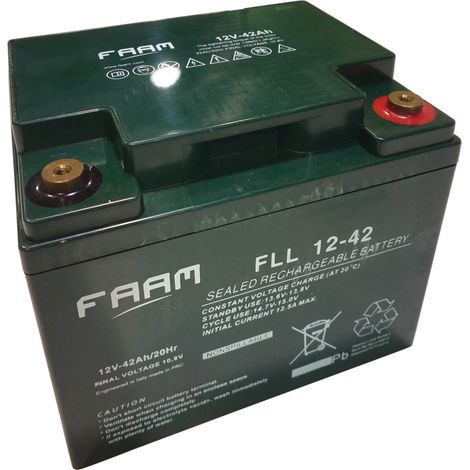 cleancraft AGM-Batterie 12V 42 Ah (1/2)