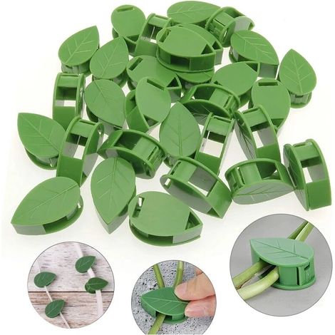 20 pièces Invisible plante escalade fixation murale rotin vigne Support fixe boucle feuille Clips Traction support jardin plante Support (1/5)