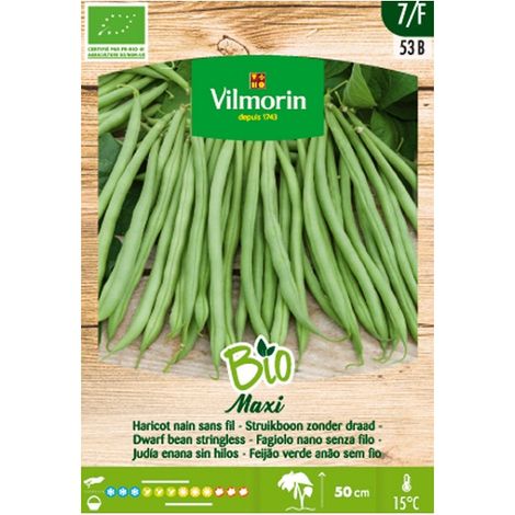 Vilmorin Garden Bio Seeds of Jew Baja Maxi, Box 100 Gr