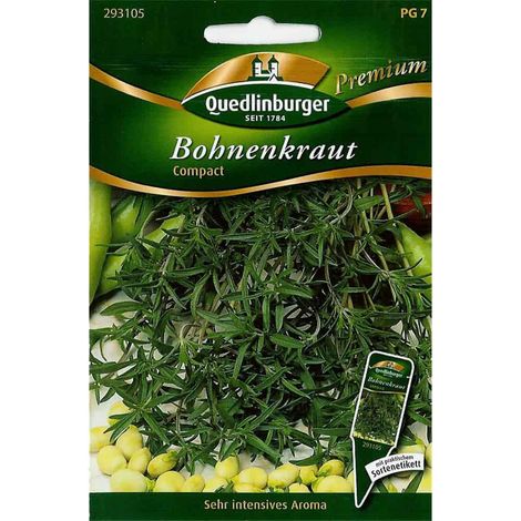 Quedlinburger Bergbohnenkraut - Premium Kräutersamen (1/2)